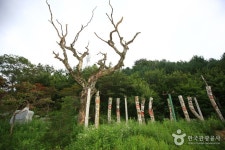 오도재와 지리산조망공원 관광 정보와 주변 관광 명소 및 근처 맛집 여행 정보