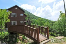 Yongmunsan Recreational Forest (용문산자연휴양림) - Sightseeing - Korea travel and tourism information