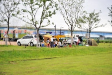 Samnak Eco Park (삼락생태공원) - Sightseeing - Korea travel and tourism information