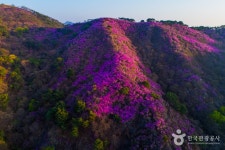Goryeosan Mountain (고려산) - Sightseeing - Korea travel and tourism information