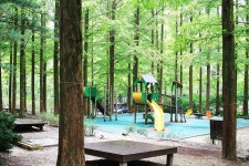 장태산 자연휴양림 캠핑장 레저스포츠 정보와 주변 관광 명소 및 근처 맛집 여행 정보