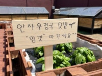 안사우정국 음식점 정보와 주변 관광 명소 및 근처 맛집 여행 정보