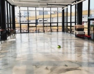 라드독 음식점 정보와 주변 관광 명소 및 근처 맛집 여행 정보