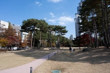 동탄센트럴파크 관광 정보와 주변 관광 명소 및 근처 맛집 여행 정보