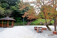 세천공원 관광 정보와 주변 관광 명소 및 근처 맛집 여행 정보