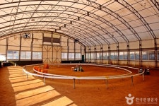 천등산승마클럽 레저스포츠 정보와 주변 관광 명소 및 근처 맛집 여행 정보