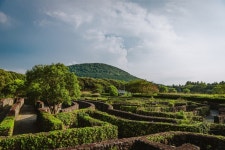 비자림 - 주변 여행 및 근처 관광 명소 - 국내 여행 정보와 관광 명소 정보