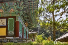 월리사(청주) 관광 정보와 주변 관광 명소 및 근처 맛집 여행 정보