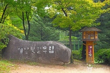 문화마을 둘레길 레저스포츠 정보와 주변 관광 명소 및 근처 맛집 여행 정보