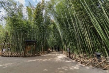 Taehwagang National Garden (태화강 국가정원) - Sightseeing - Korea travel and tourism information