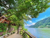 남이섬 관광 정보와 주변 관광 명소 및 근처 맛집 여행 정보