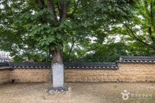 청주 무농정 관광 정보와 주변 관광 명소 및 근처 맛집 여행 정보