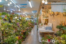 부산 자유도매시장 쇼핑 정보와 주변 관광 명소 및 근처 맛집 여행 정보