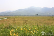 [하동 박경리 토지길 1코스] 섬진강 평사리공원~화개장터 - 주변 여행 및 근처 관광 명소 - 국내 여행 정보와 관광 명소 정보