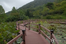 고운식물원 관광 정보와 주변 관광 명소 및 근처 맛집 여행 정보