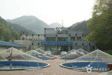 솔향기가득한집 - 주변 여행 및 근처 관광 명소 - 국내 여행 정보와 관광 명소 정보