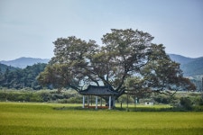 도룡마을 관광 정보와 주변 관광 명소 및 근처 맛집 여행 정보