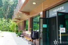 레저스포츠 - 국내 여행 정보와 관광 명소 정보