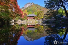 백양사 - 주변 여행 및 근처 관광 명소 - 국내 여행 정보와 관광 명소 정보