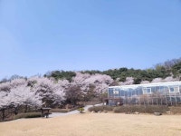 백야자연휴양림 오토캠핑장 - 주변 여행 및 근처 관광 명소 - 국내 여행 정보와 관광 명소 정보