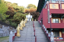 수진사(경기) 관광 정보와 주변 관광 명소 및 근처 맛집 여행 정보