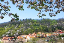 평창 휴[休] 콘서트 최신 축제 공연 행사 정보와 주변 관광 명소 및 근처 맛집 여행 정보