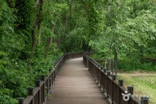 방이동 생태경관 보전지역 관광 정보와 주변 관광 명소 및 근처 맛집 여행 정보