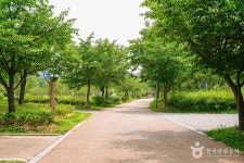 서호꽃뫼공원 관광 정보와 주변 관광 명소 및 근처 맛집 여행 정보