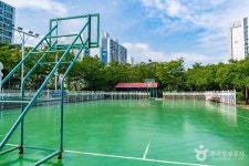 비둘기공원 관광 정보와 주변 관광 명소 및 근처 맛집 여행 정보