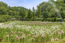 율곡수목원 관광 정보와 주변 관광 명소 및 근처 맛집 여행 정보