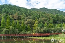 봉황산자연휴양림 관광 정보와 주변 관광 명소 및 근처 맛집 여행 정보