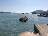 회진 바다낚시 레저스포츠 정보와 주변 관광 명소 및 근처 맛집 여행 정보
