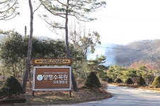 양평수목원캠핑장 레저스포츠 정보와 주변 관광 명소 및 근처 맛집 여행 정보
