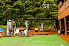 파인힐 애견펜션 숙박 정보와 주변 관광 명소 및 근처 맛집 여행 정보