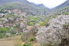 산꽃벚꽃마을오토캠핑장 - 주변 여행 및 근처 관광 명소 - 국내 여행 정보와 관광 명소 정보