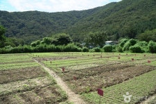 소소리농장 관광 정보와 주변 관광 명소 및 근처 맛집 여행 정보