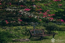 スンチョンマンエコチョン[韓国観光品質認証](순천만에코촌 유스호스텔[한국관광 품질인증]/Korea Quality) - 宿泊 - 韓国旅行・観光情報