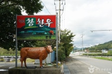 청도참한우식육식당 음식점 정보와 주변 관광 명소 및 근처 맛집 여행 정보