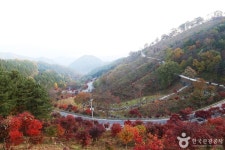 국립 지리산자연휴양림 - 주변 여행 및 근처 관광 명소 - 국내 여행 정보와 관광 명소 정보