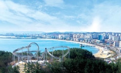 대한민국 독서대전<<지역N문화 테마 대한민국 독서대전<우리 문화, 우리 지역 축제<지역N문화 테마