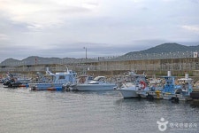 궁촌항 관광 정보와 주변 관광 명소 및 근처 맛집 여행 정보