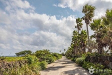 표선세화해안도로 - 주변 여행 및 근처 관광 명소 - 국내 여행 정보와 관광 명소 정보