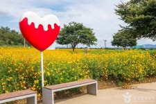 대구가톨릭대학교 박물관 - 주변 여행 및 근처 관광 명소 - 국내 여행 정보와 관광 명소 정보