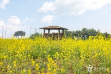 cu호텔휴인천공항점 - 주변 여행 및 근처 관광 명소 - 국내 여행 정보와 관광 명소 정보