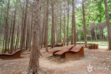 팔영산 편백 치유의 숲 관광 정보와 주변 관광 명소 및 근처 맛집 여행 정보