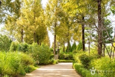 푸른수목원 관광 정보와 주변 관광 명소 및 근처 맛집 여행 정보