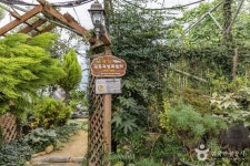 다화림식물원&치유정원 관광 정보와 주변 관광 명소 및 근처 맛집 여행 정보