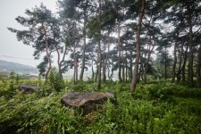 송산목장 - 주변 여행 및 근처 관광 명소 - 국내 여행 정보와 관광 명소 정보