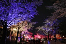 Seoulland (서울랜드) - Sightseeing - Korea travel and tourism information