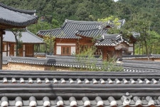 도리사(구미) - 주변 여행 및 근처 관광 명소 - 국내 여행 정보와 관광 명소 정보